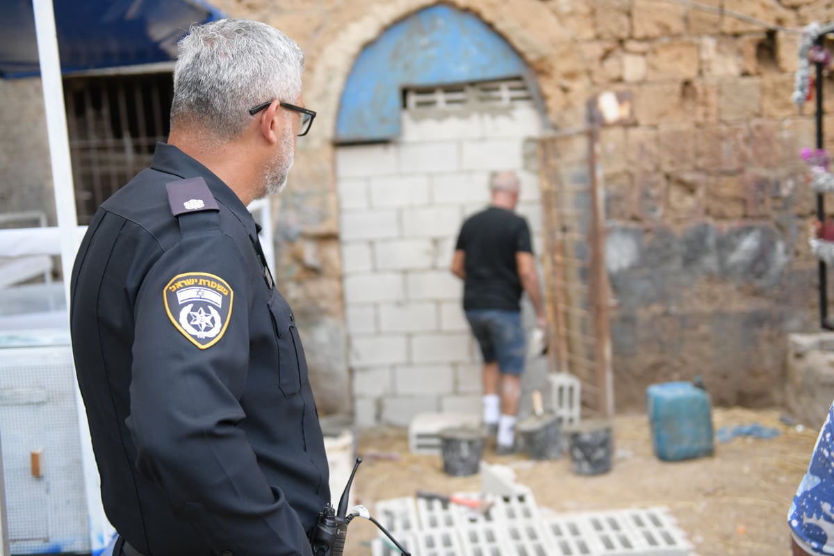 פולשים בנו אורוות סוסים מאולתרת ופונו • צפו