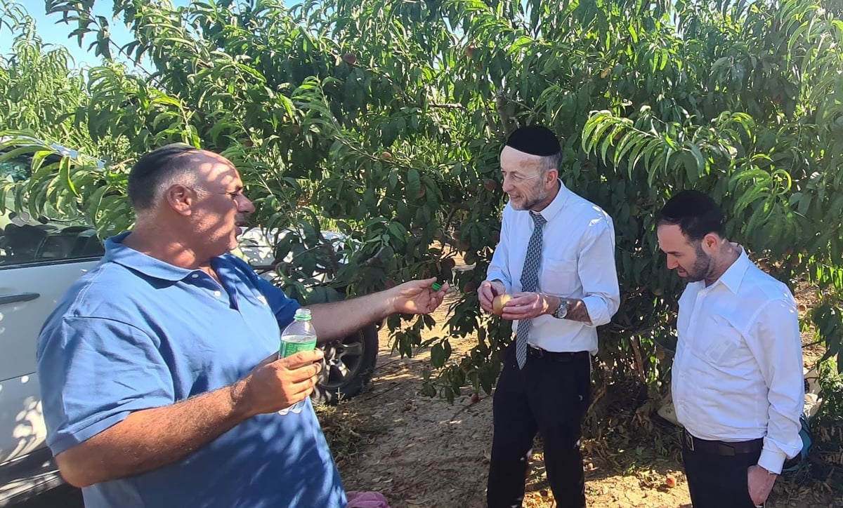 החקלאי הפתיע וסיפר; "כך הפסדתי מאות אלפי שקלים" • צפו