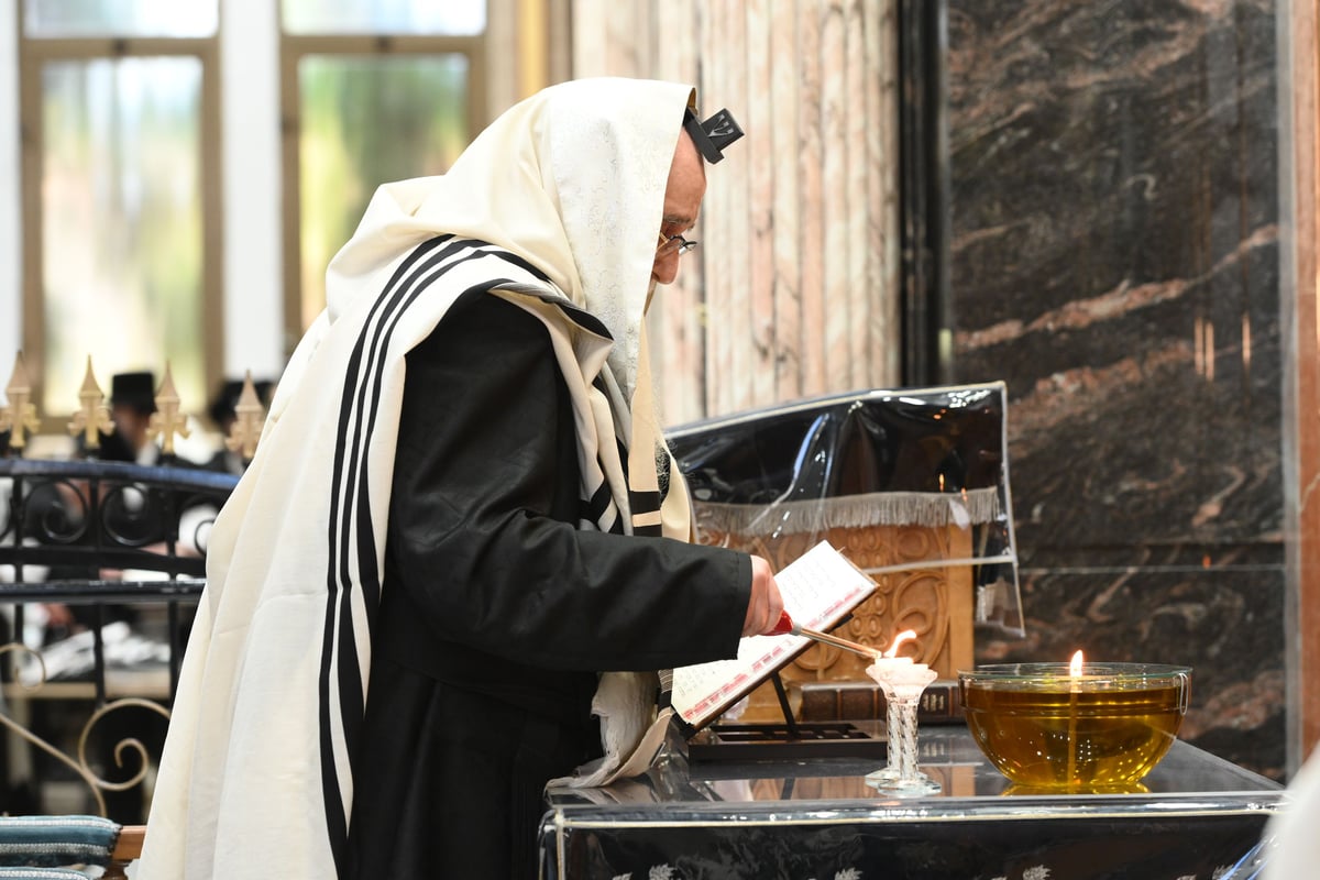 סיום הש"ס, טיש ותעודות לנבחנים: הילולת ה'שפע חיים' זיע"א בצאנז