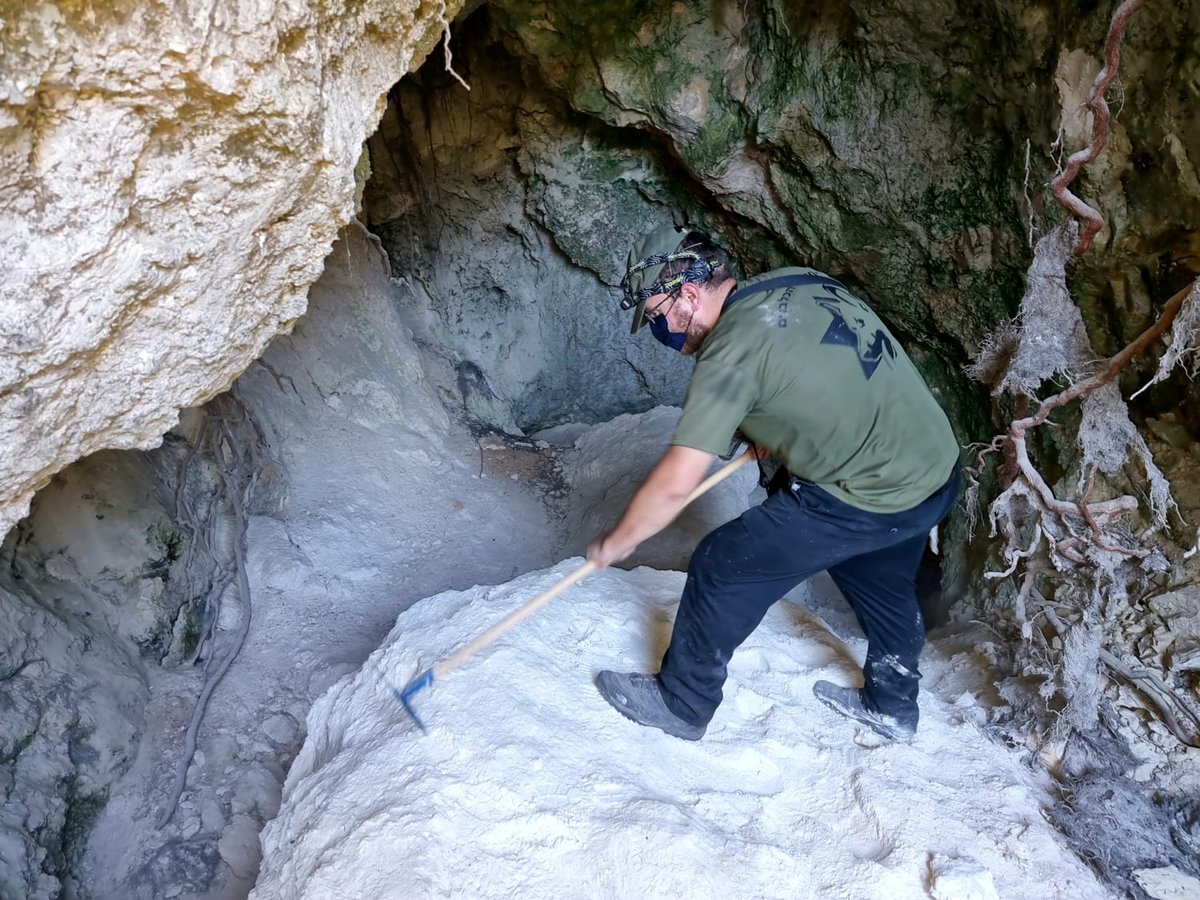 שלושה מישורי בדיקה: מתרחבים החיפושים אחר מוישי קליינרמן