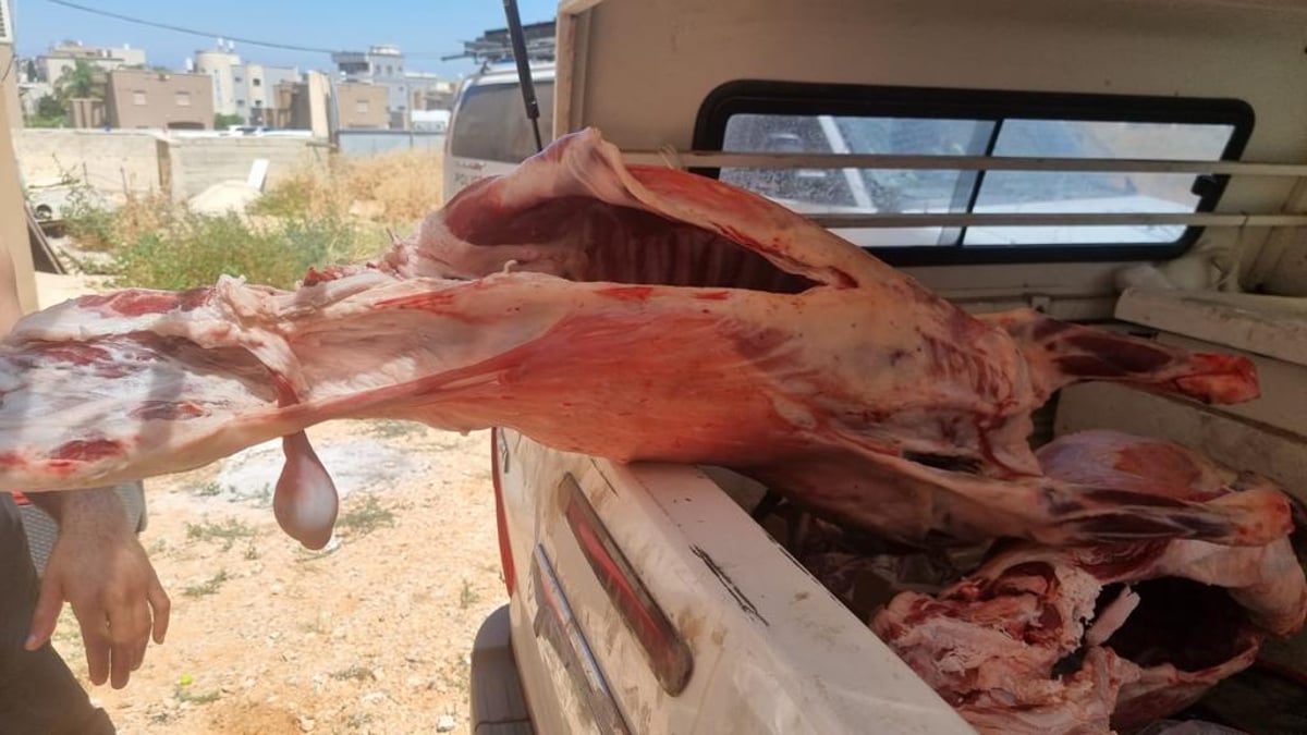 באיטליז בכפר אותרו: 200 ק"ג בשר שאינו ראוי למאכל