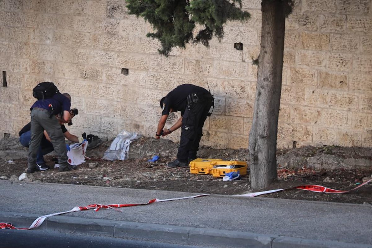 פיגוע בבירה: מחבל דקר נוסע עם מברג - ונורה בידי צלם