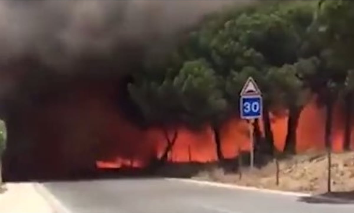 בני זוג שניסו להימלט נשרפו; היום הכי חם אי פעם בבריטניה