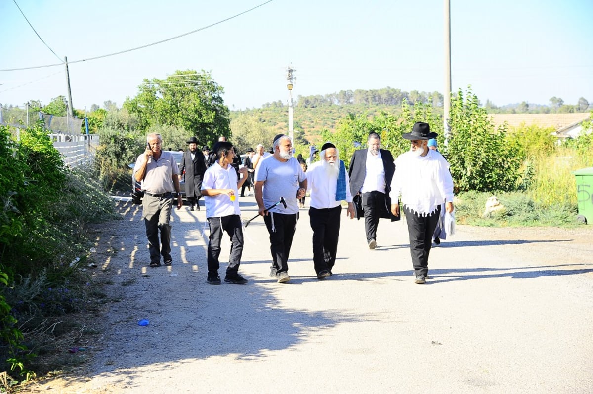 תיעוד: המונים השתתפו בהילולת הצדיק מעגו'ר