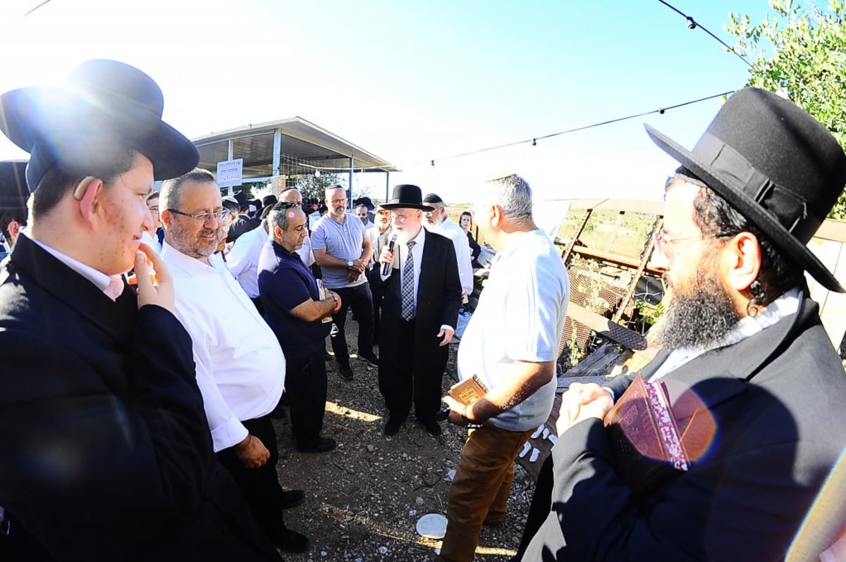 תיעוד: המונים השתתפו בהילולת הצדיק מעגו'ר