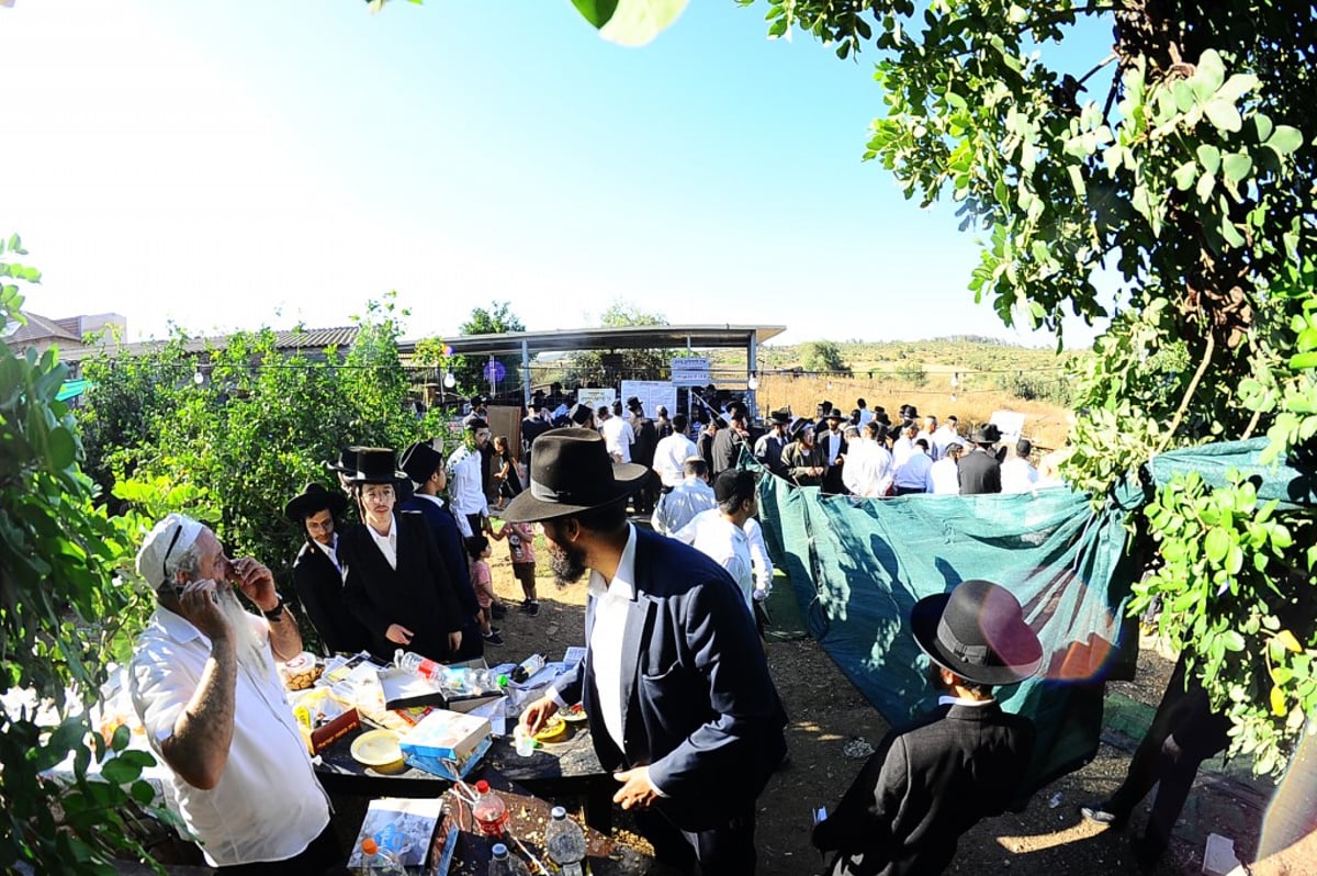 תיעוד: המונים השתתפו בהילולת הצדיק מעגו'ר