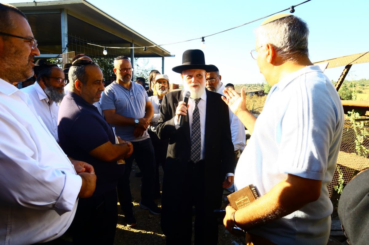 תיעוד: המונים השתתפו בהילולת הצדיק מעגו'ר