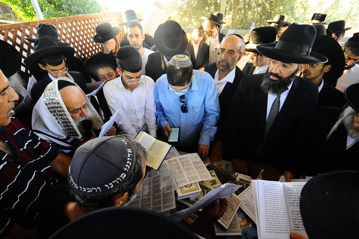 תיעוד: המונים השתתפו בהילולת הצדיק מעגו'ר