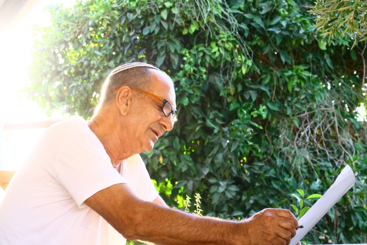 תיעוד: המונים השתתפו בהילולת הצדיק מעגו'ר