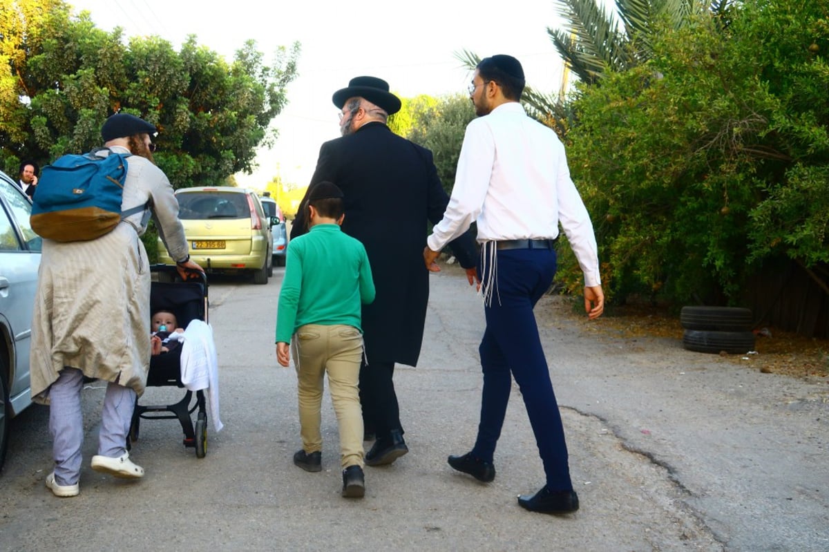 תיעוד: המונים השתתפו בהילולת הצדיק מעגו'ר