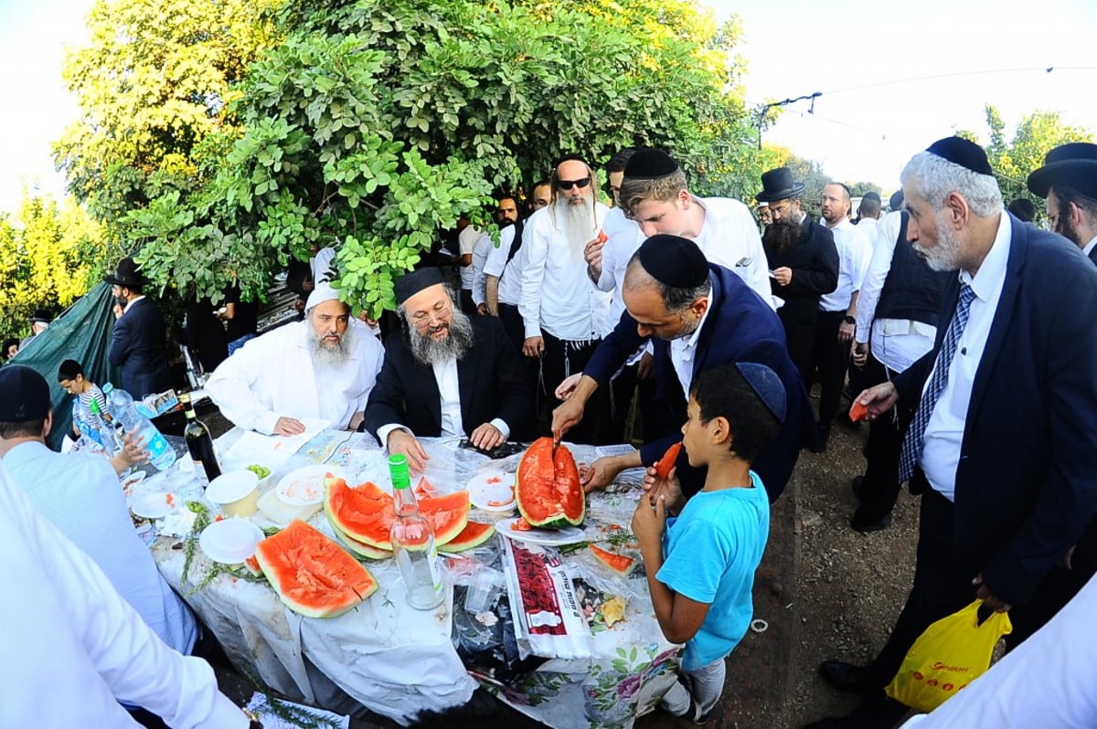 תיעוד: המונים השתתפו בהילולת הצדיק מעגו'ר