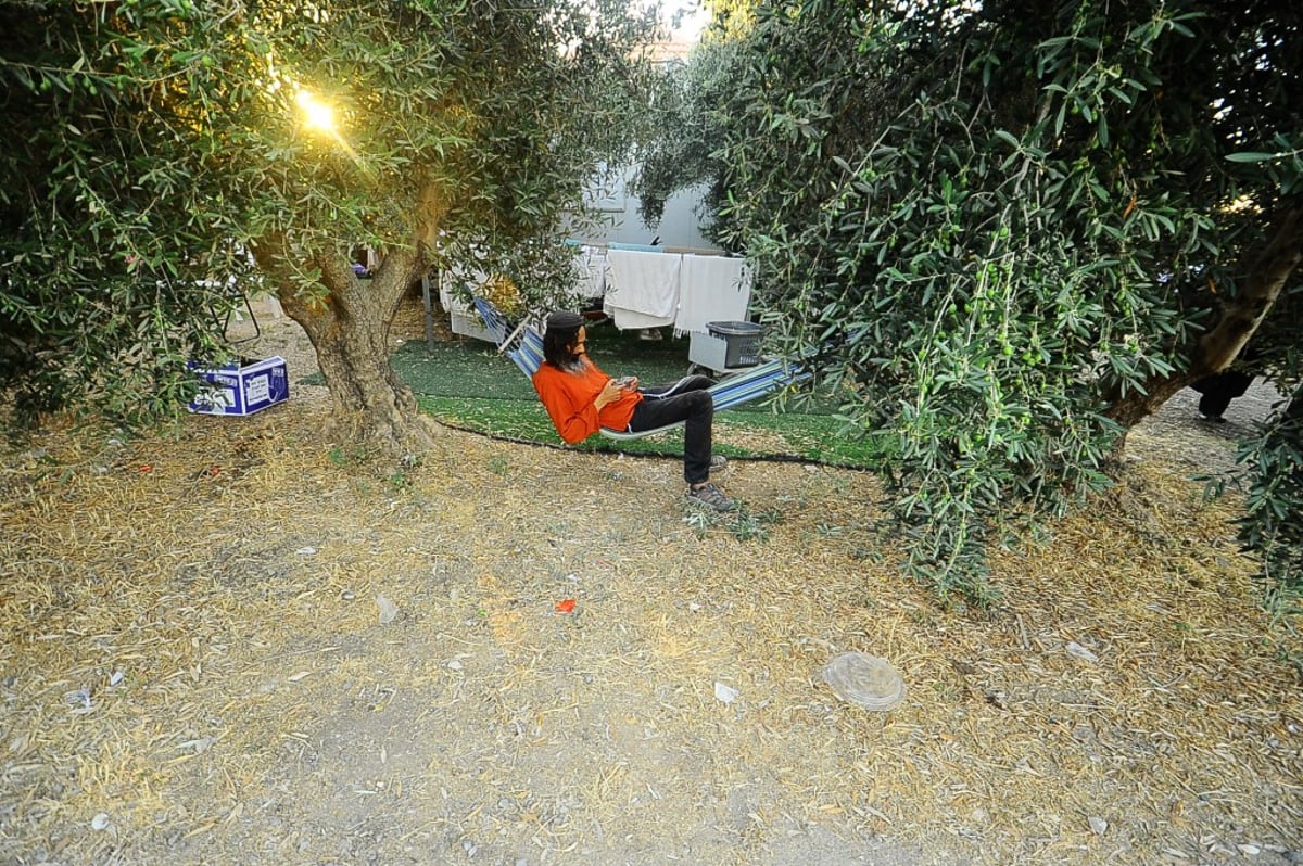 תיעוד: המונים השתתפו בהילולת הצדיק מעגו'ר