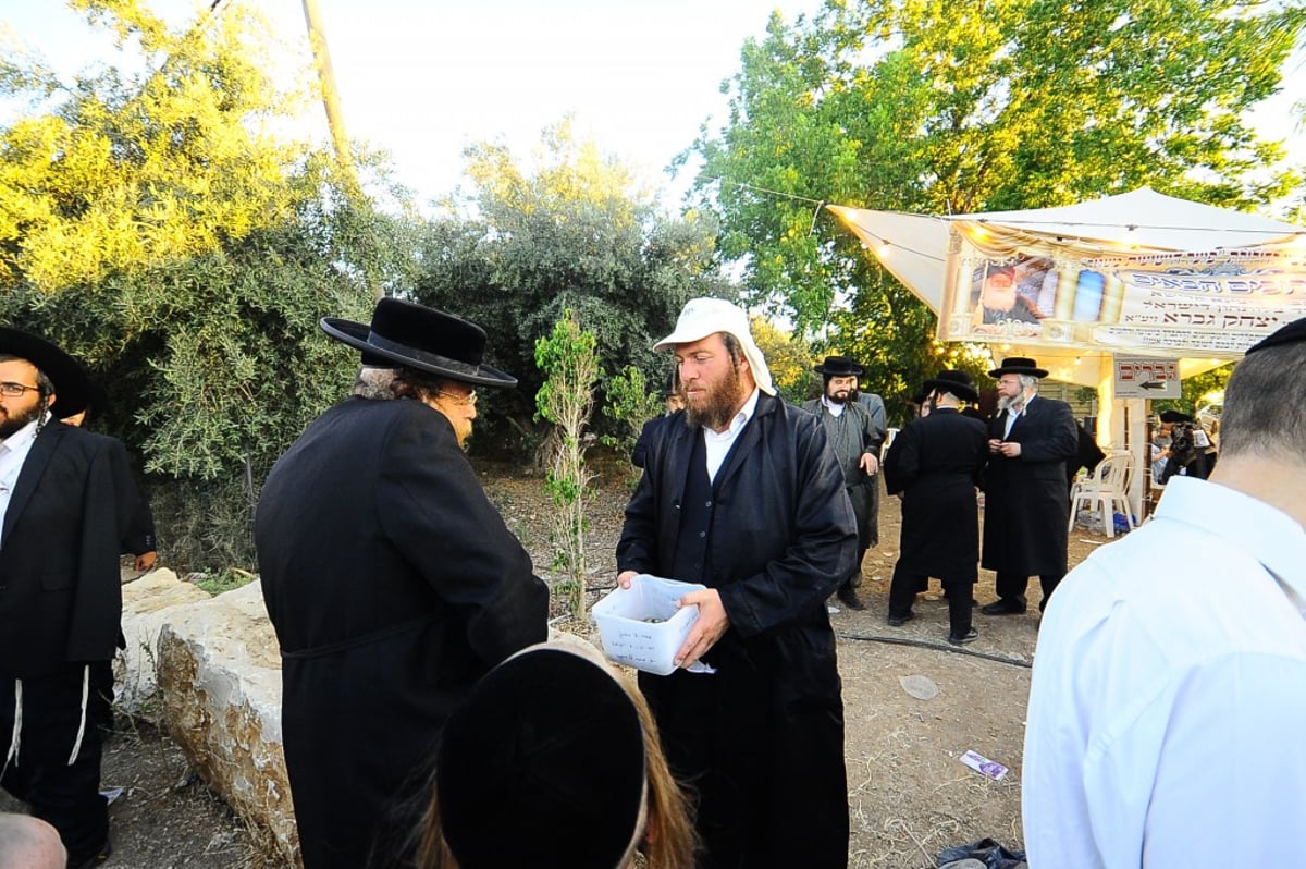 תיעוד: המונים השתתפו בהילולת הצדיק מעגו'ר