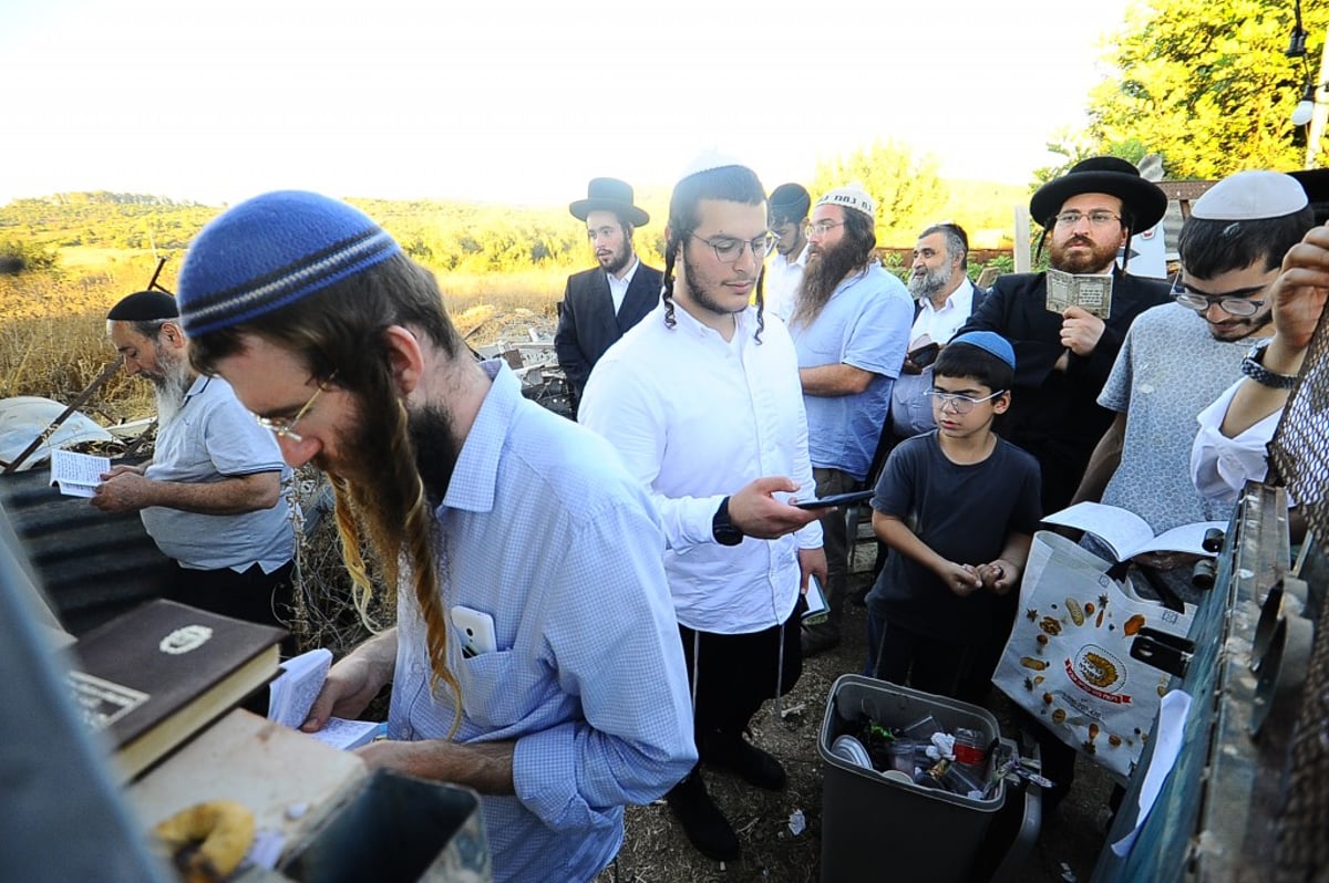 תיעוד: המונים השתתפו בהילולת הצדיק מעגו'ר