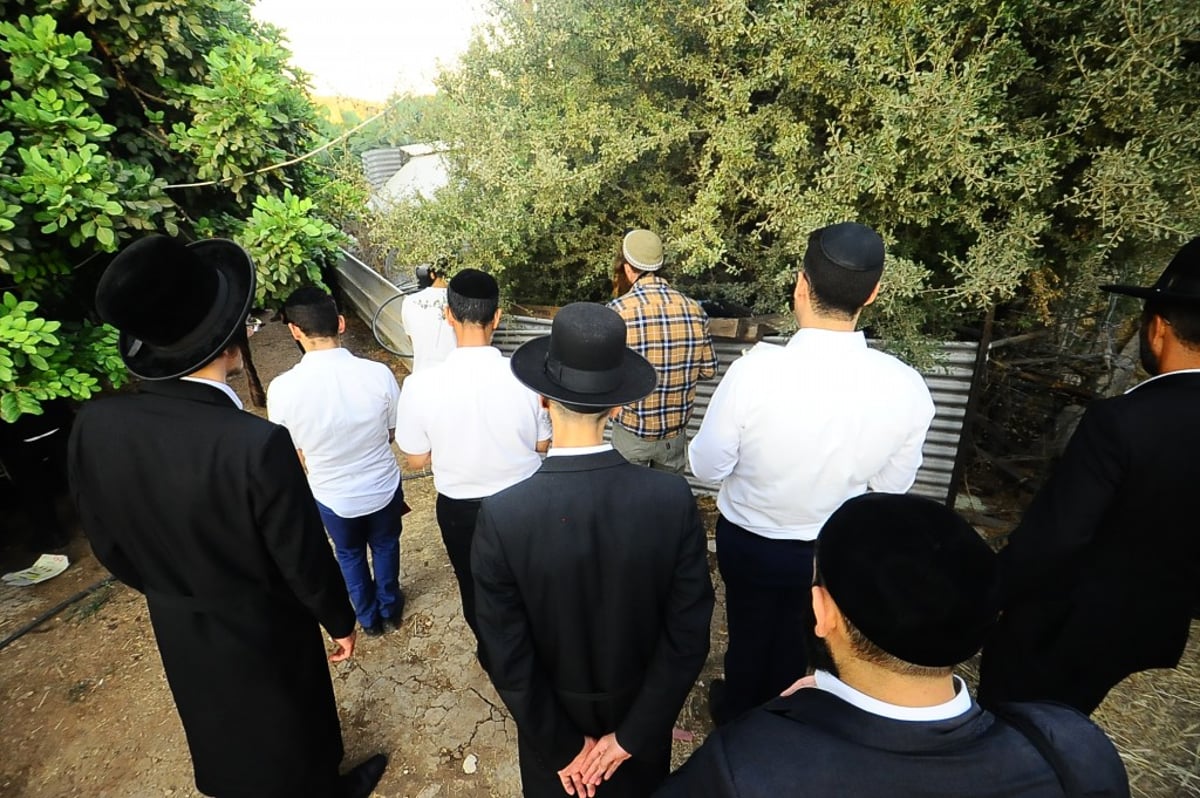 תיעוד: המונים השתתפו בהילולת הצדיק מעגו'ר