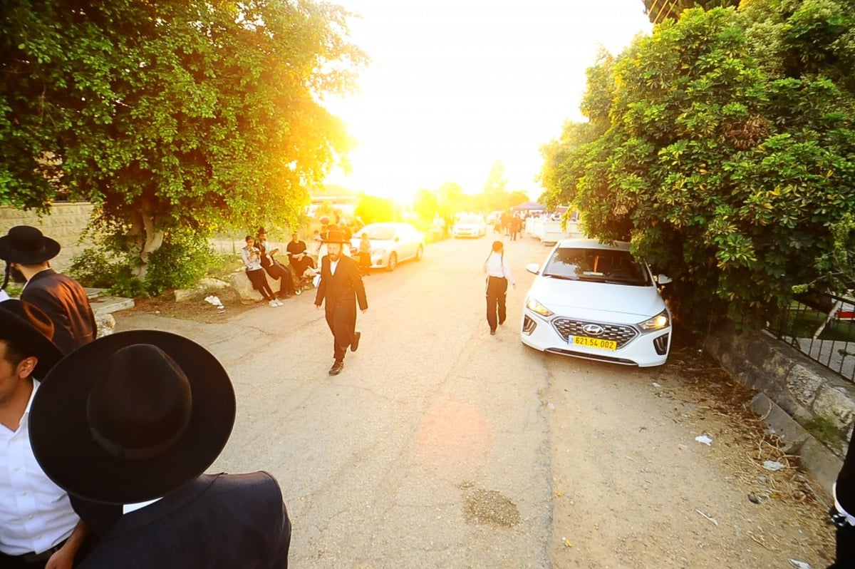 תיעוד: המונים השתתפו בהילולת הצדיק מעגו'ר