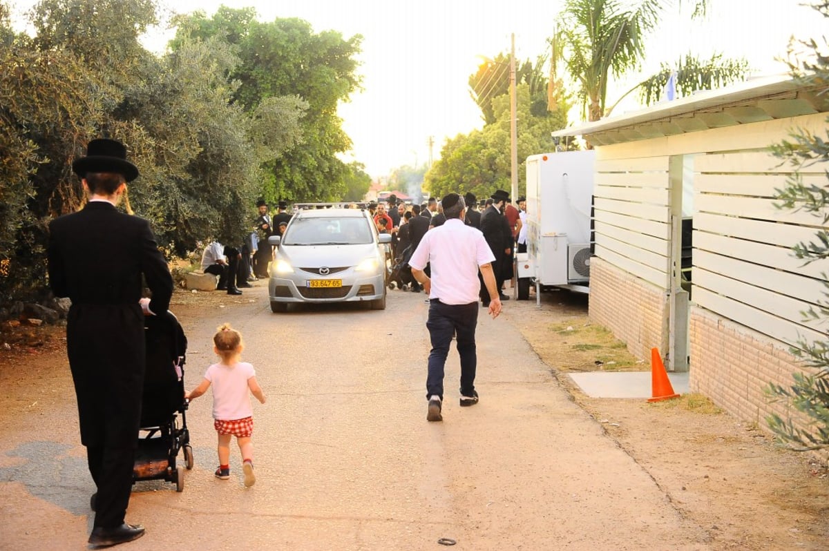 תיעוד: המונים השתתפו בהילולת הצדיק מעגו'ר