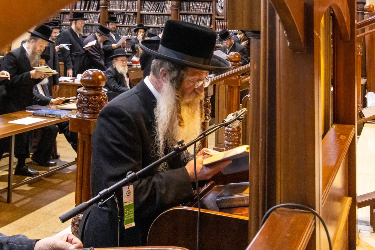 לאחר האסונות בעיר חיפה: עצרת התחזקות