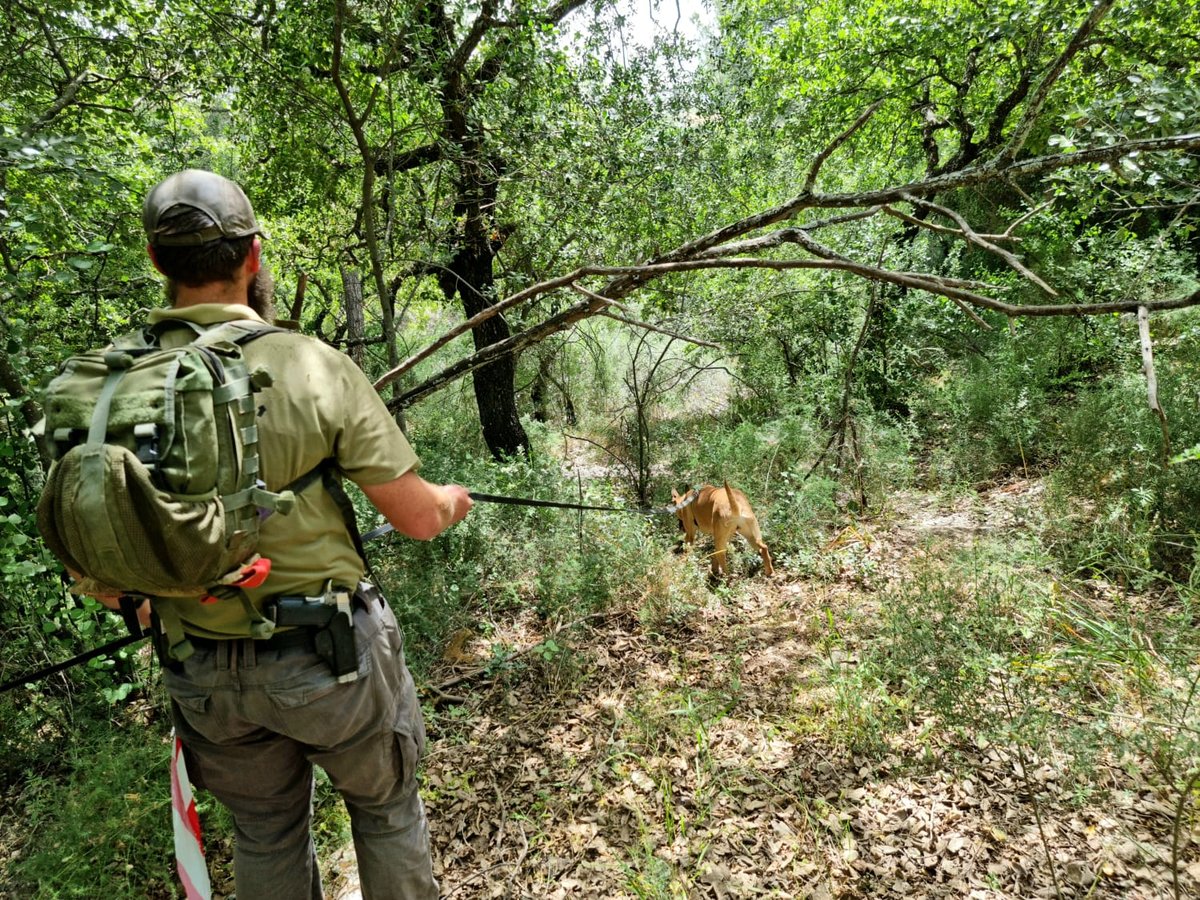 החיפושים אחר קליינרמן, בשבוע שעבר