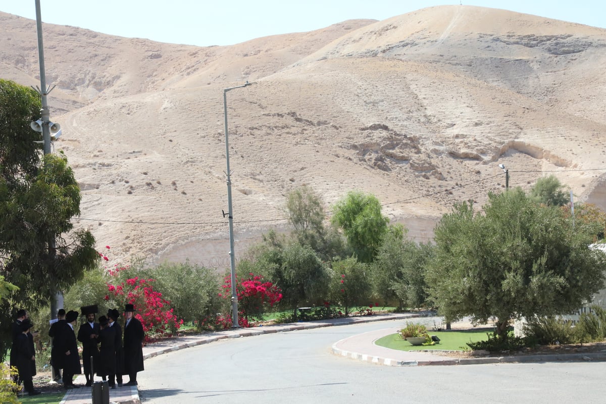 בחורי מכנובקא בעלזא בשבת התאחדות; תיעוד