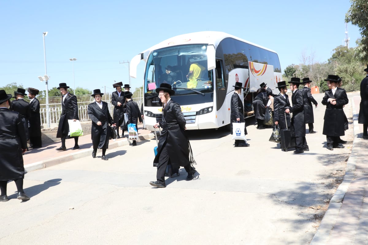 בחורי מכנובקא בעלזא בשבת התאחדות; תיעוד