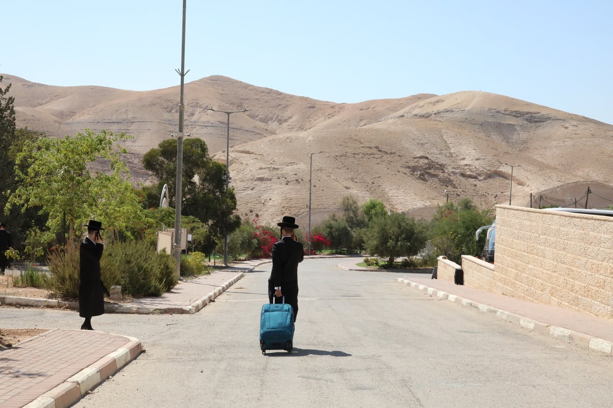 בחורי מכנובקא בעלזא בשבת התאחדות; תיעוד