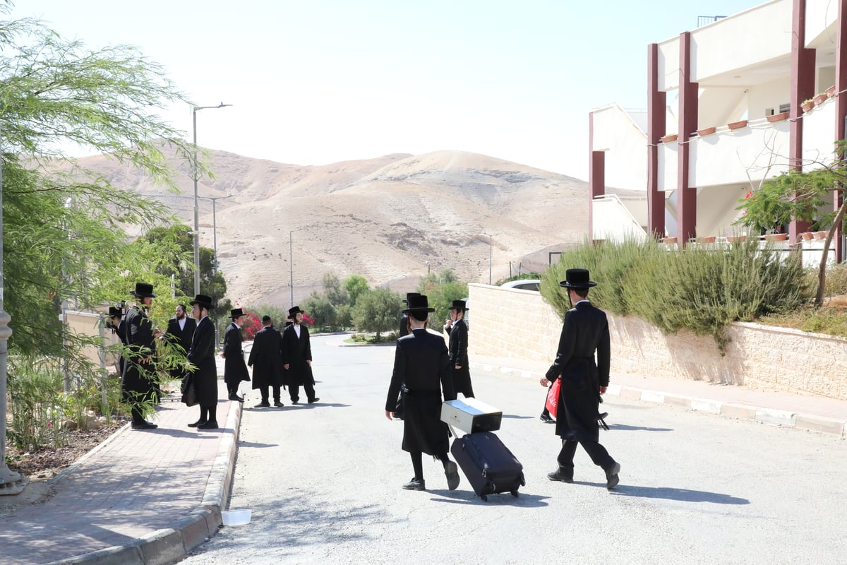 בחורי מכנובקא בעלזא בשבת התאחדות; תיעוד