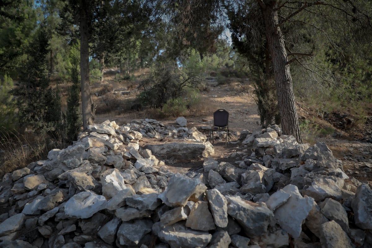 תופעה חדשה: התבודדות ביער סנהדריה