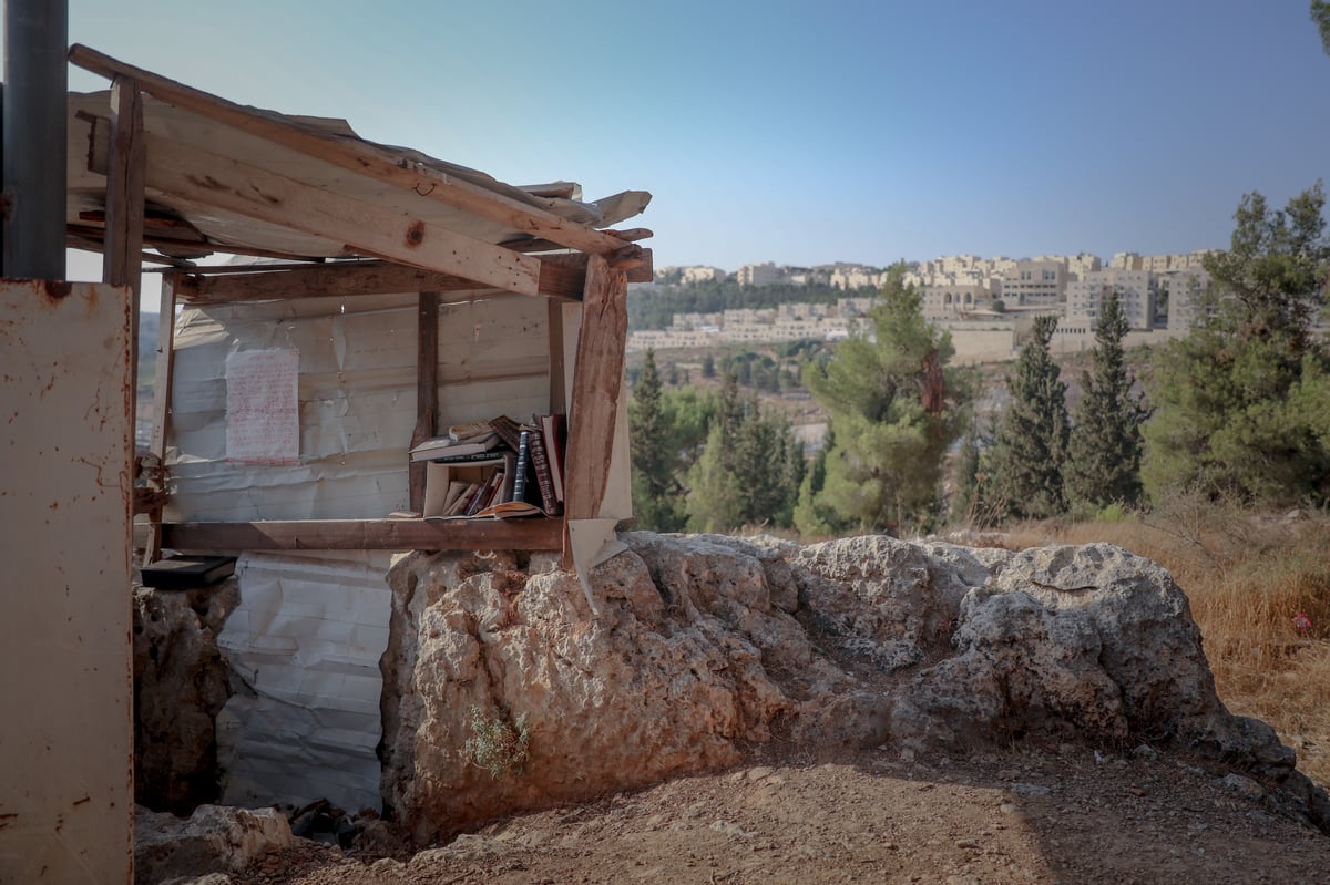 תופעה חדשה: התבודדות ביער סנהדריה