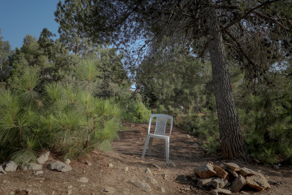 תופעה חדשה: התבודדות ביער סנהדריה