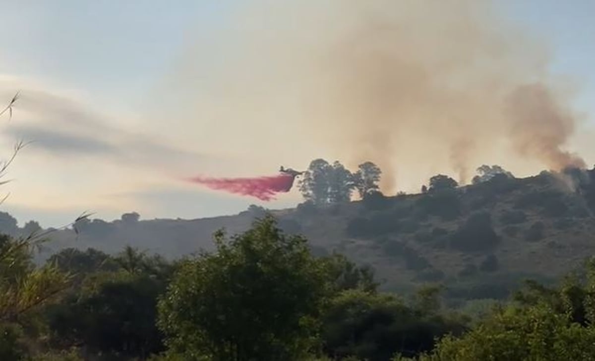 לוחמי האש יצאו לכבות את השריפה בגליל