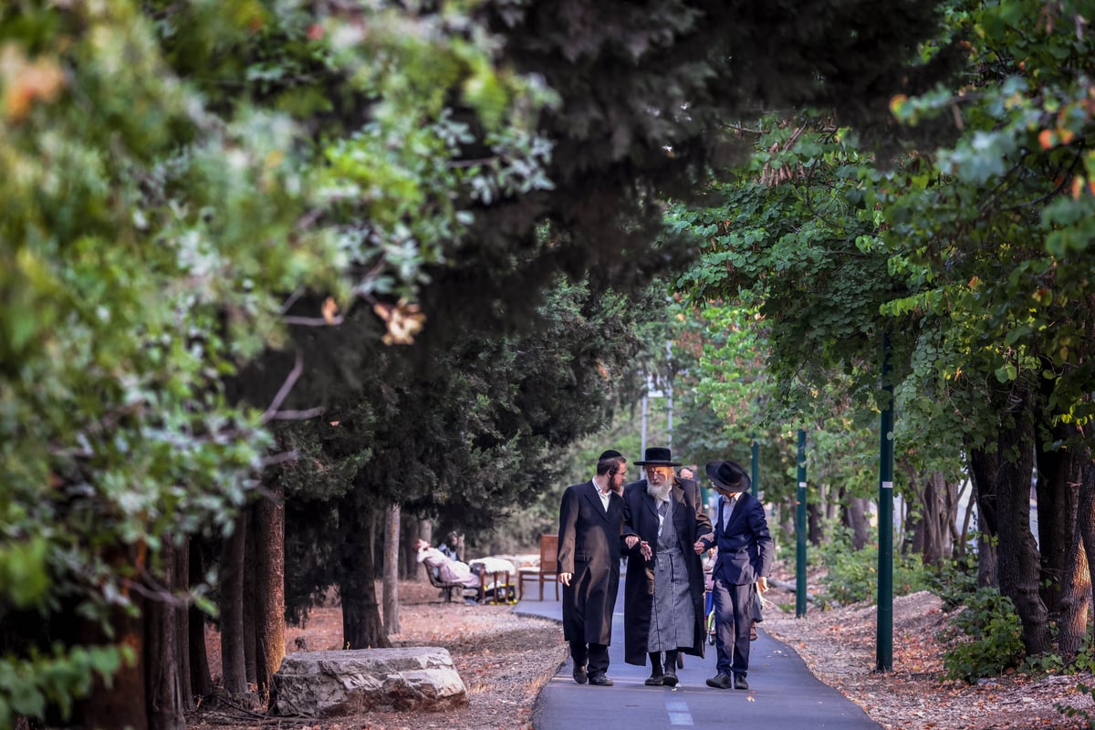 צפת: האדמו"ר ממבקשי אמונה בנאות דשא