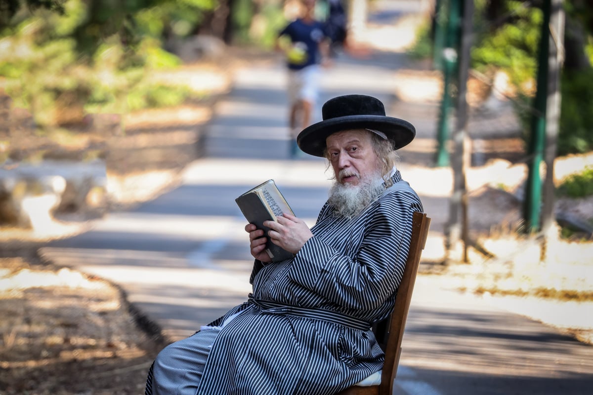 צפת: האדמו"ר ממבקשי אמונה בנאות דשא