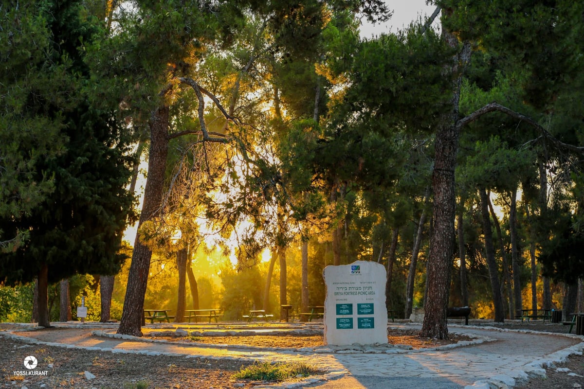 תיעוד מרהיב: זריחת השמש בהריה של צפת