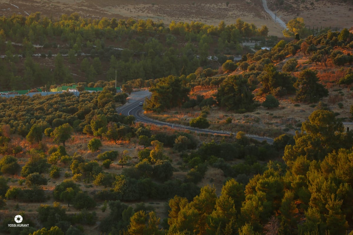 תיעוד מרהיב: זריחת השמש בהריה של צפת