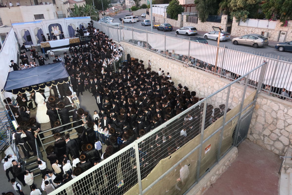 חתונת נכד האדמו"ר הוגבלה לשעתיים וחצי בלבד