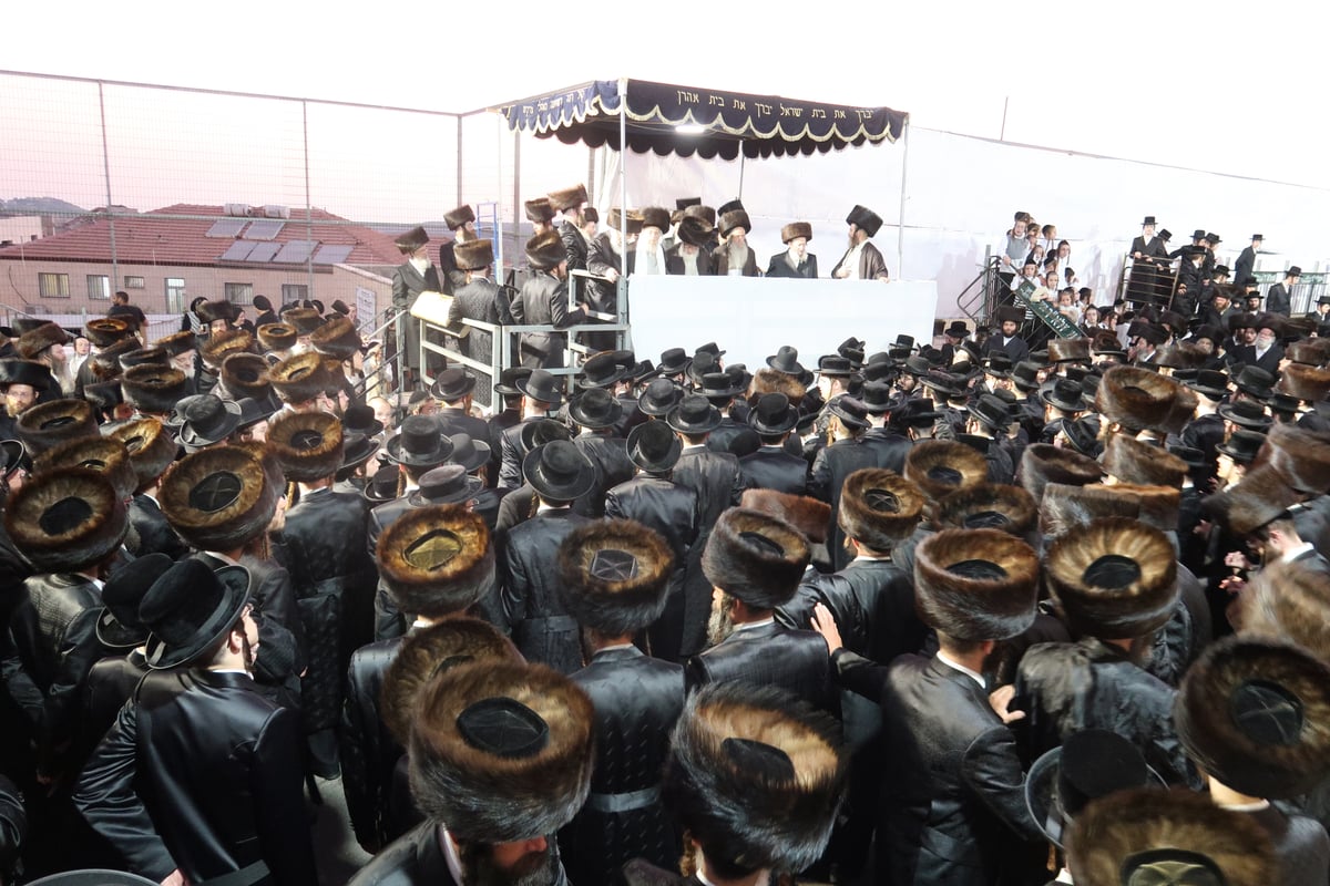 חתונת נכד האדמו"ר הוגבלה לשעתיים וחצי בלבד