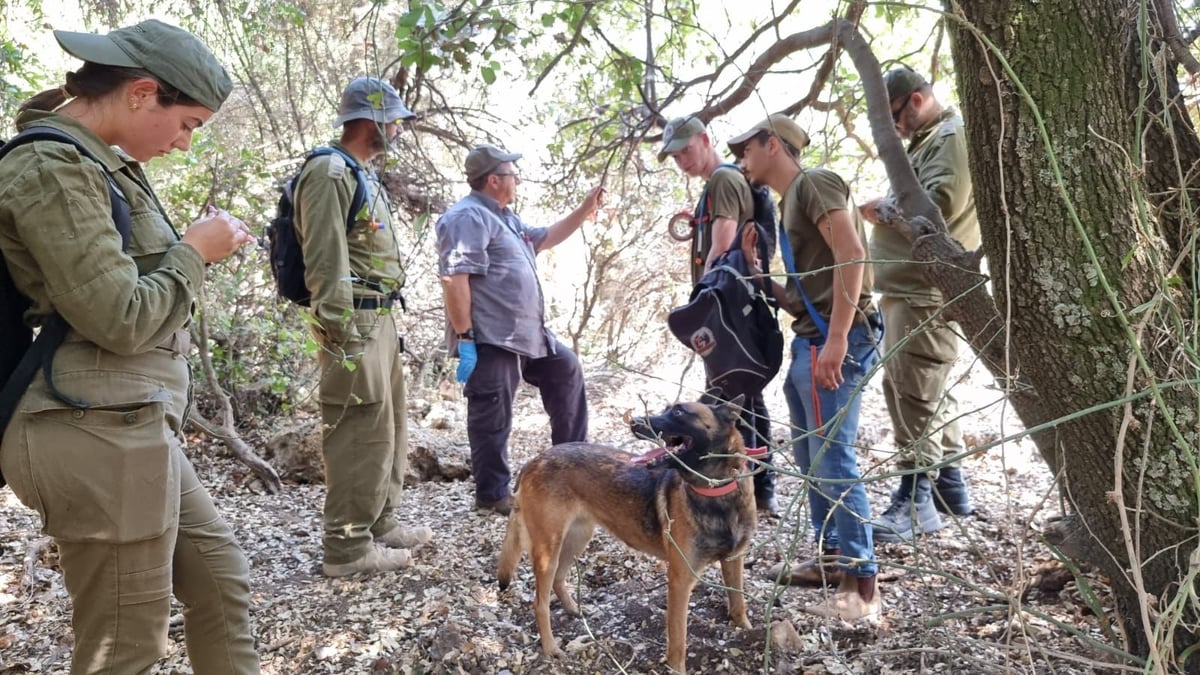 החיפושים אחר קליינרמן