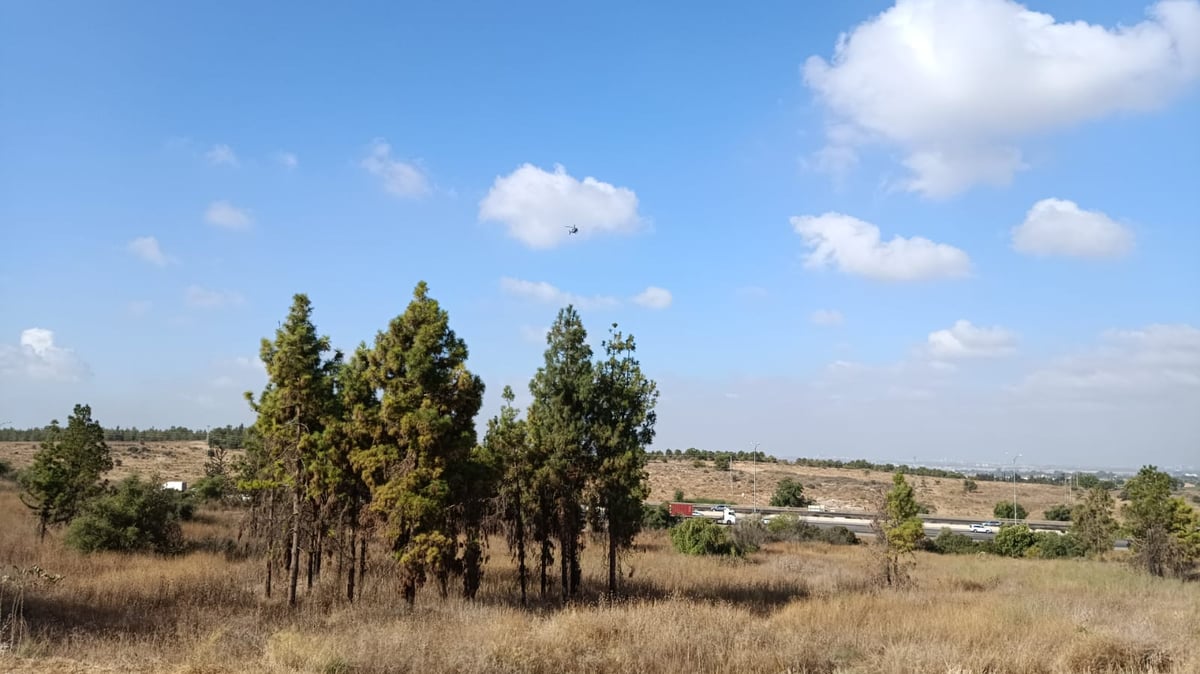 בלשי בני ברק תפסו שני גנבי רכב לאחר מרדף