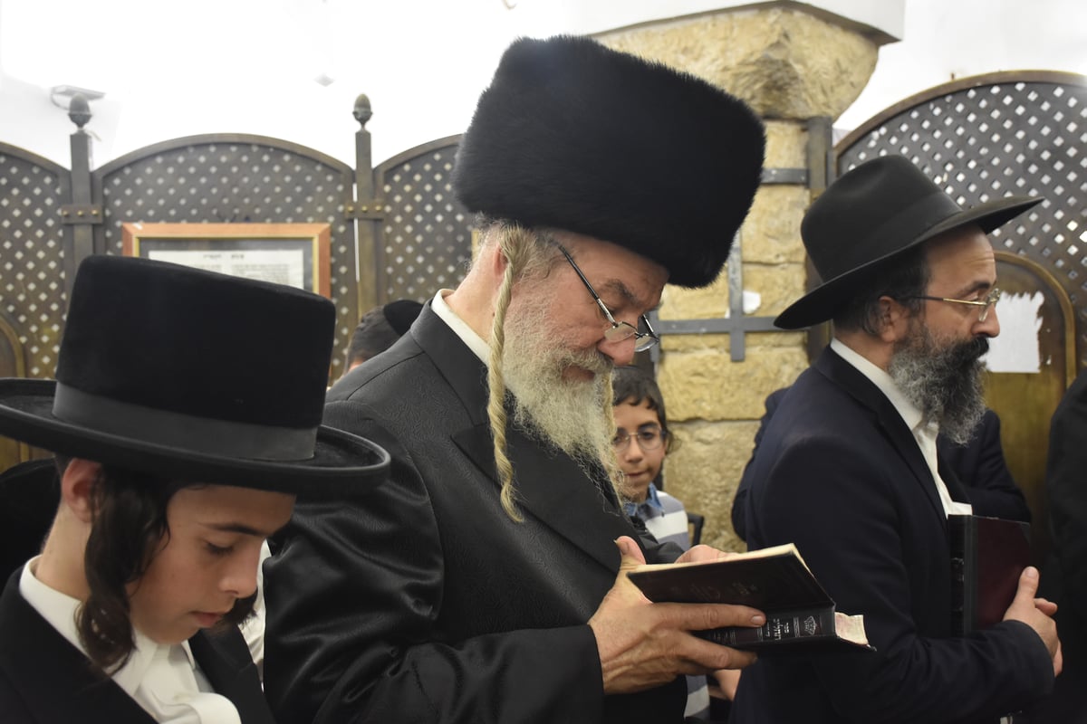 מירון: 'חלאקה' לניניו של האדמו"ר מאשלג