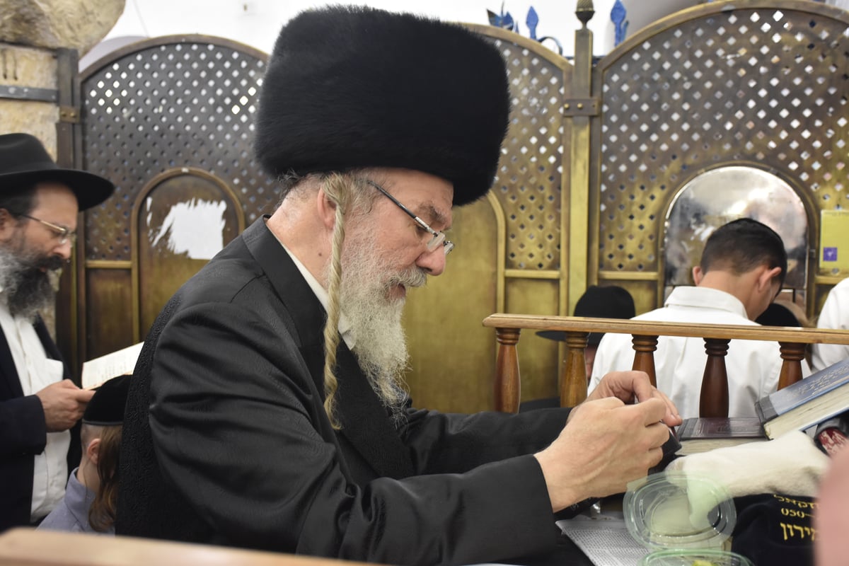 מירון: 'חלאקה' לניניו של האדמו"ר מאשלג