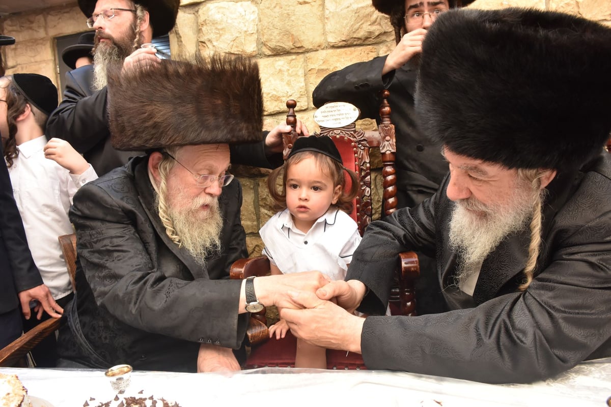 מירון: 'חלאקה' לניניו של האדמו"ר מאשלג