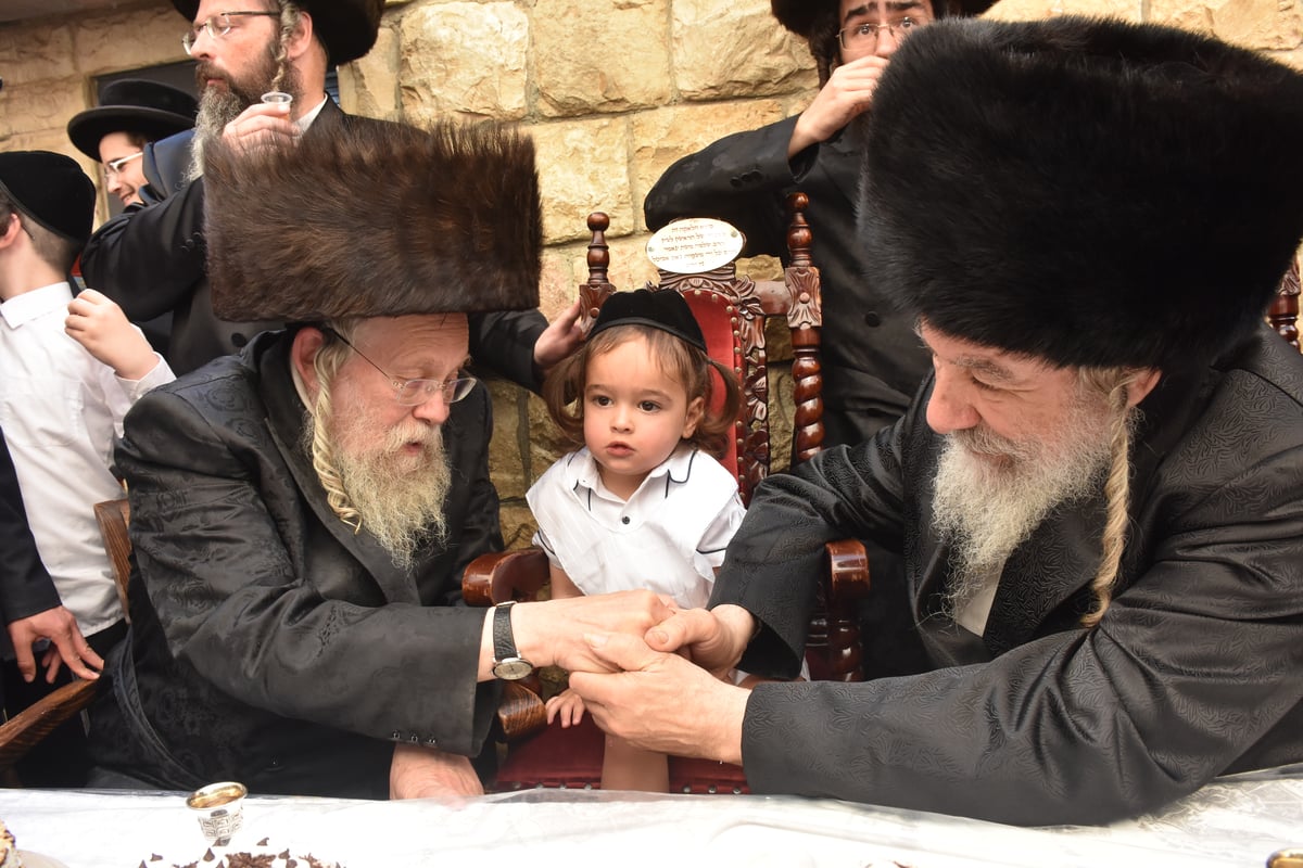 מירון: 'חלאקה' לניניו של האדמו"ר מאשלג