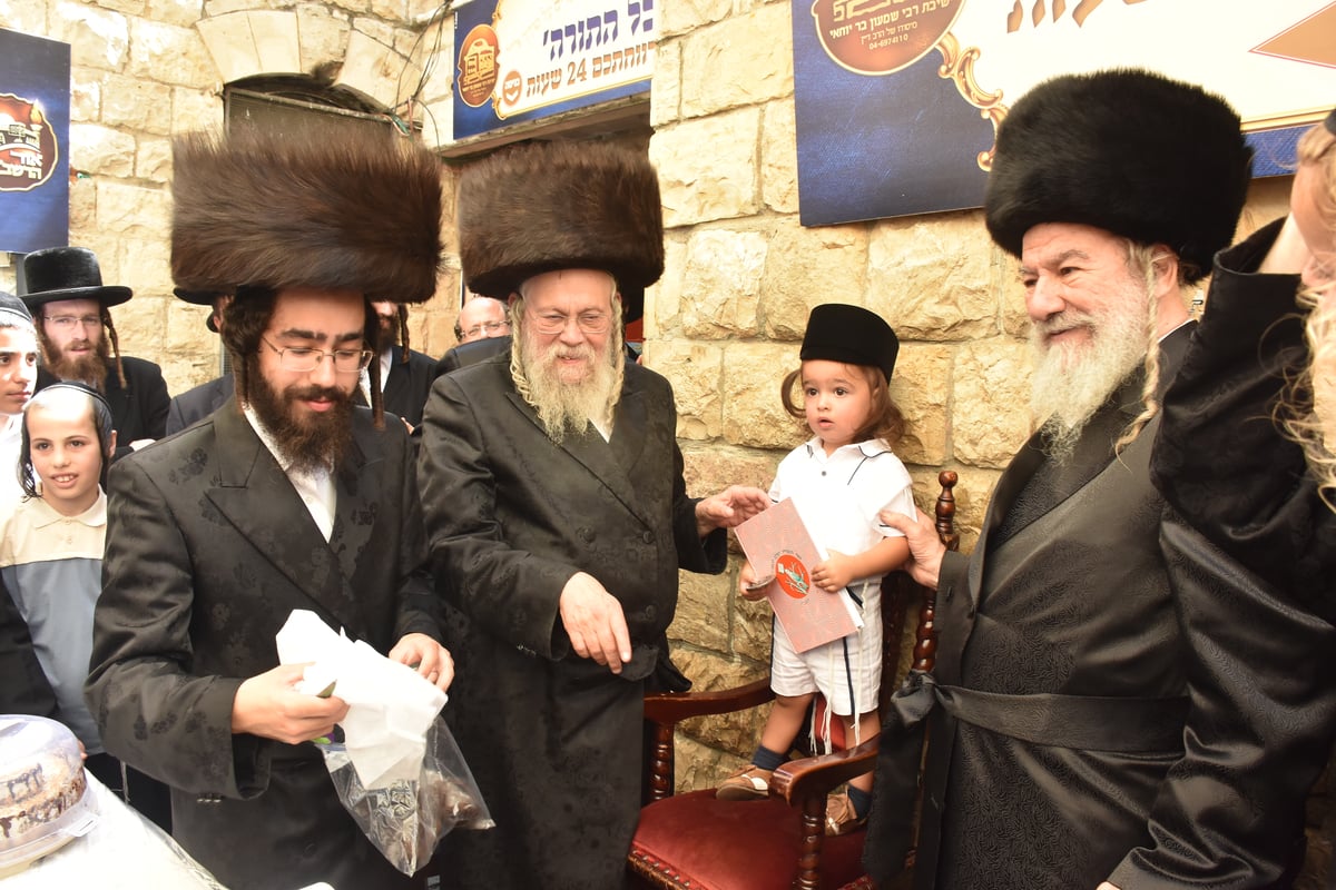 מירון: 'חלאקה' לניניו של האדמו"ר מאשלג