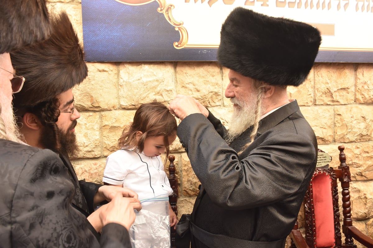 מירון: 'חלאקה' לניניו של האדמו"ר מאשלג