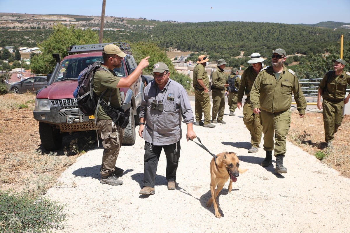 כשצה"ל הצטרף: כך נראו היום החיפושים אחר קליינרמן