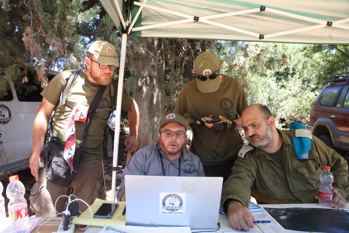 כשצה"ל הצטרף: כך נראו היום החיפושים אחר קליינרמן