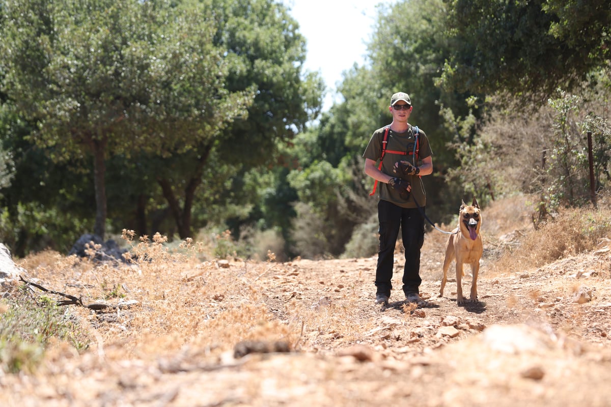 כשצה"ל הצטרף: כך נראו היום החיפושים אחר קליינרמן