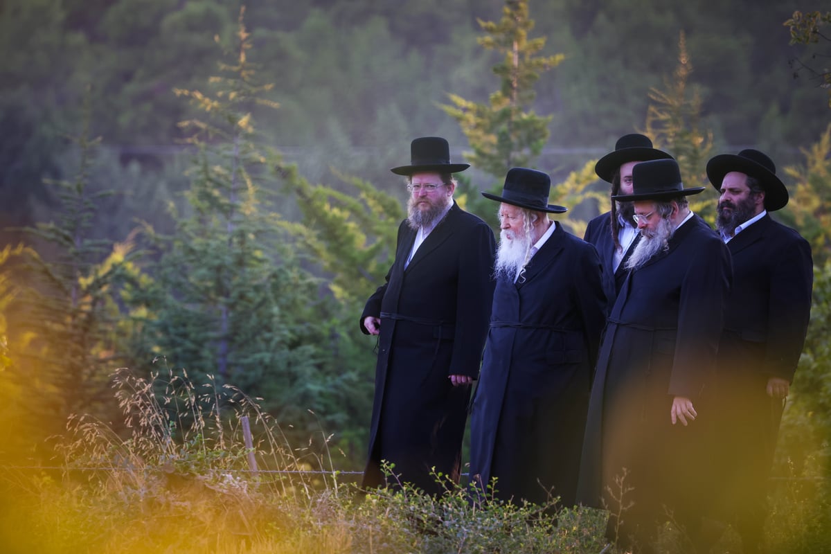 תיעוד נדיר: האדמו"ר מגור ב'נאות דשא' בהרי ושבילי צפת