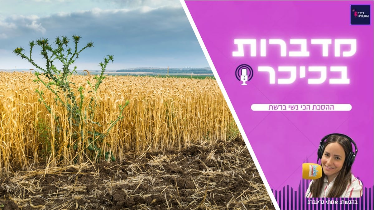 פרק 2: המלך בא לי לשדה והשדה מלא קוצים • האזינו